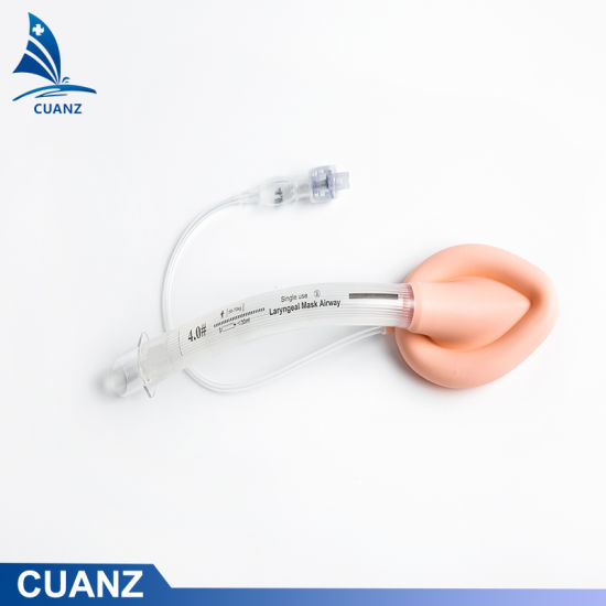 一次性医用PVC增强喉罩气道导管Lma气管导管